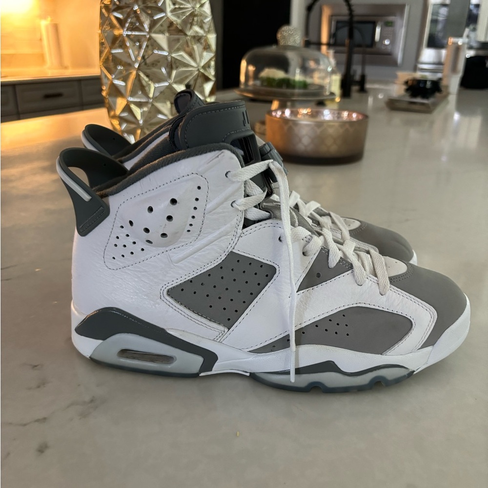 Used Jordan 6 cool greys